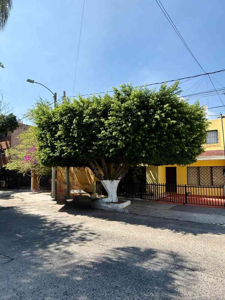 casa en renta fidel velazquez jardines del country guadalajara jalisco p6Ldw9w